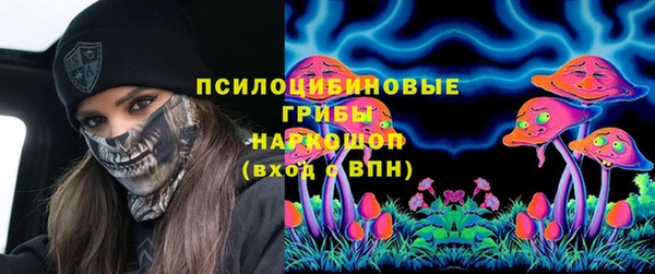 соль ск Армянск