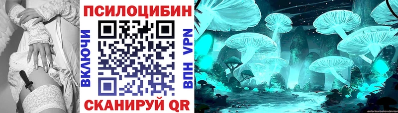 Галлюциногенные грибы Psilocybine cubensis  Кыштым 
